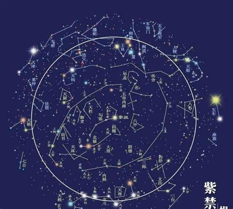 紫微麥|紫微星坐守命宫的分析 – 紫微麥 